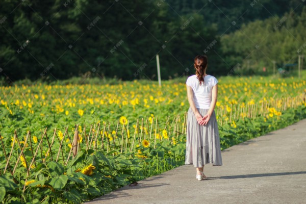 武汉茶文化之旅,这些地方是必访之地! 武汉茶文化之旅,这些地方是必访之地!